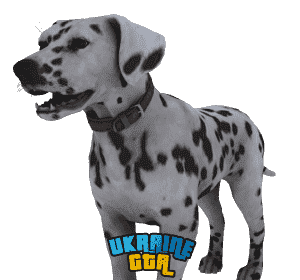 Скін  Далматинець
