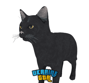 Скін  Чорний кіт