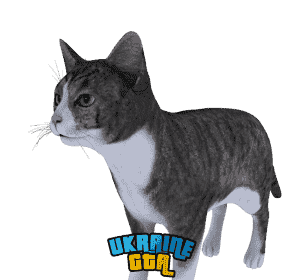 Скін  Сірий кіт